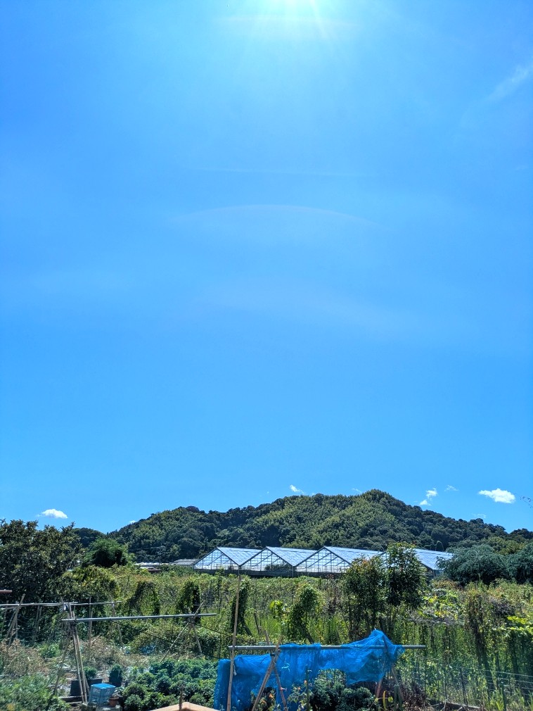 空