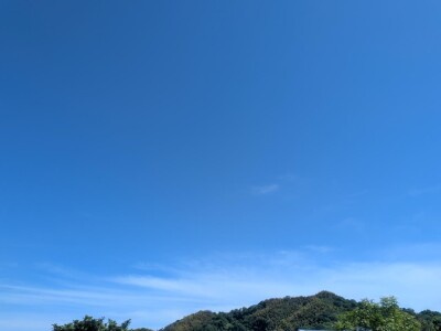 R859_2.jpg
