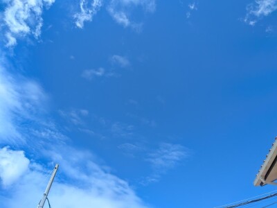 R863.jpg